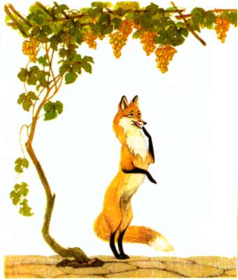 fox02b.jpg