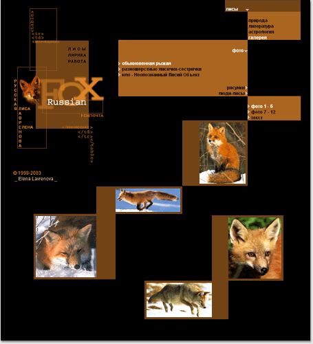 portfolio foxdesign.ru - 2001 : 
  «  »   «  ,  ,  »